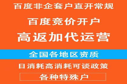电商巨头的SEM运营托管策略揭秘